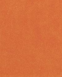 15375 652 by  Duralee 