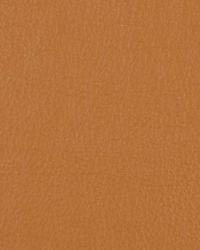 15518 598 by  Duralee 