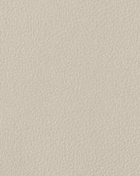 15523 282 by  Duralee 