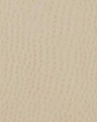 15524 364 by  Duralee 