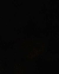 15525 102 by  Duralee 