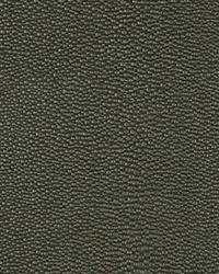 15528 22 by  Duralee 