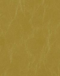 15529 533 by  Duralee 