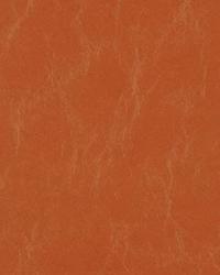 15529 77 by  Duralee 