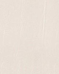 15530 336 by  Duralee 