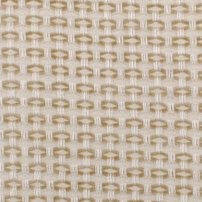 Duralee 15572 494 in 2905 Polyester  Blend