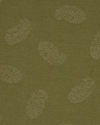 Sangamon Willow by  Robert Allen 