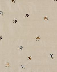 Moliere Creme by  Robert Allen 