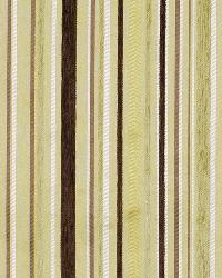 Kings Stripe Lemongrass by  Robert Allen 