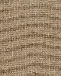 Temora Bark by  Robert Allen 