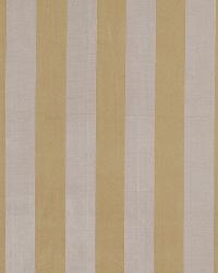 Daphne Stripe Chai by  Robert Allen 