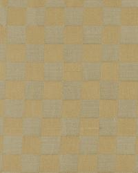 Puccio Check Chamomile by  Robert Allen 