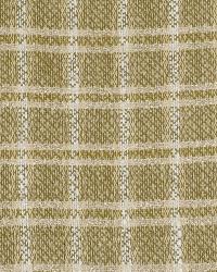 City Plaid Green Tea by  Robert Allen 