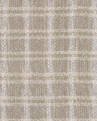 City Plaid Birch by  Robert Allen 