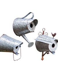 Watering Can Bird House S3 by   