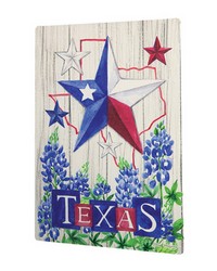 Texas Bluebonnet Metal Sign S2 by   