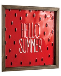 Watermelon Seed Hello Summer Metal Sign S2 by   