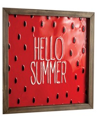 Watermelon Seed Hello Summer Metal Sign S2 by  B Berger 