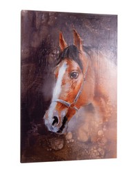 Horse Painted Canvas Art by   