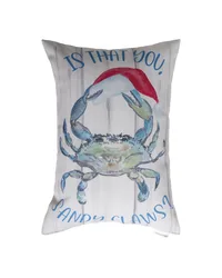 Nautical Holiday Is That You Sandy Claws Climaweave Pillow by   
