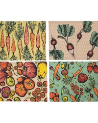Veggies Set Of 4 Placemats by   