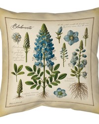Bluebonnets 2 18 In Climaweave Pillow by   