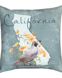 California Quail 18x18 Climaweave Pillow by   