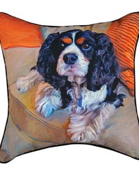 Charles In Charge Rmc18 Pillow Dy by   