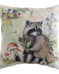 Raccoon 18 In Climaweave Pillow by   