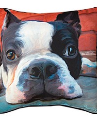 Moxley Boston Terrier Rmc18 Plw by   