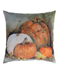 Pumpkin On The Floor 18 Pillow Climaweave by   