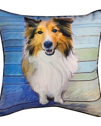 Sheltie The Eyes Have It Rmc18 Pi by   