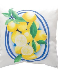 Spainsh Lemons  18x18 Climaweave Pillow by   
