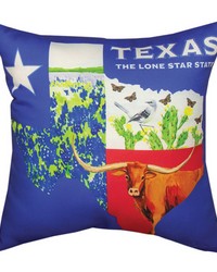 Texas Collage Climaweave 18pw by   