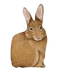 Hare Raising Shaped Pillow by   
