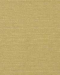 Circle Of Life Aloe by  Robert Allen 