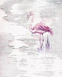 Pink Flamingo Wall Mural by  Brewster Wallcovering 