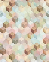 Pastel Cubes Wall Mural by  Brewster Wallcovering 