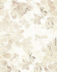 Sheer Leaves Wall Mural by  Brewster Wallcovering 