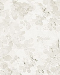 Grey Leaves Wall Mural by  Brewster Wallcovering 