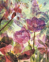 Pink Weathered Flowers Wall Mural by  Brewster Wallcovering 