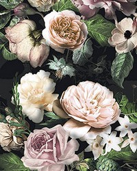 Victoria Black Floral Wall Mural by   