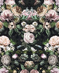 Victoria Black Floral Wall Mural by  Brewster Wallcovering 