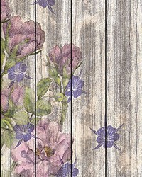 Weathered Shiplap Wall Mural by  Brewster Wallcovering 