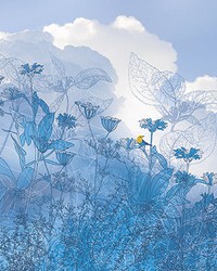 Blue Sky Wall Mural by  Brewster Wallcovering 