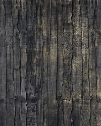 Tree Bark Wall Mural by  Brewster Wallcovering 