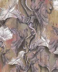 Blooming Plank Wall Mural by  Brewster Wallcovering 
