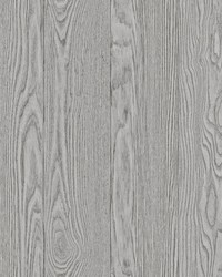 Timber Grey Peel & Stick Wallpaper by   