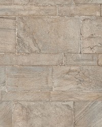 Beige Sandstone Wall Peel & Stick Wallpaper by   