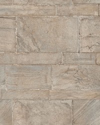 Beige Sandstone Wall Peel & Stick Wallpaper by  Duralee 